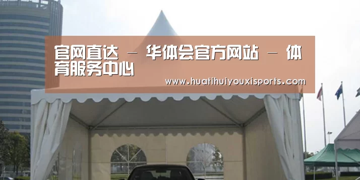 案例标题八