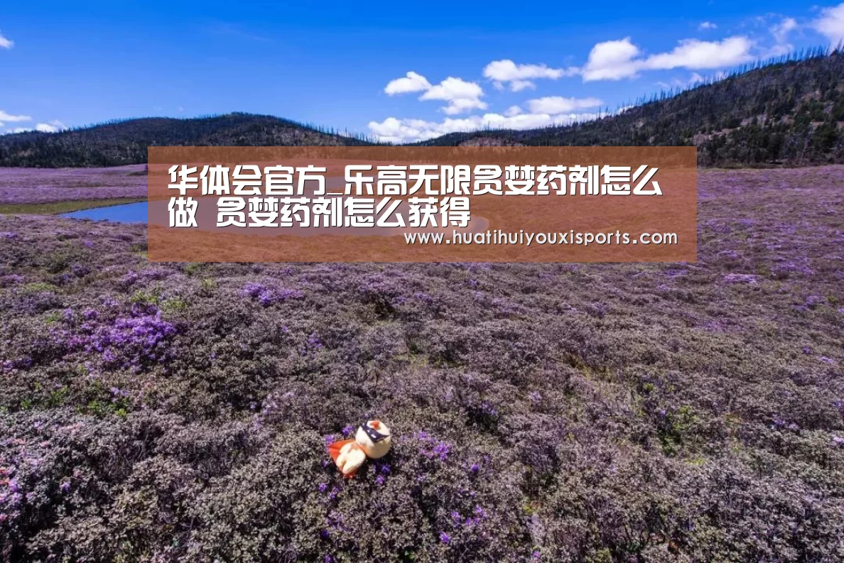 华体会入口