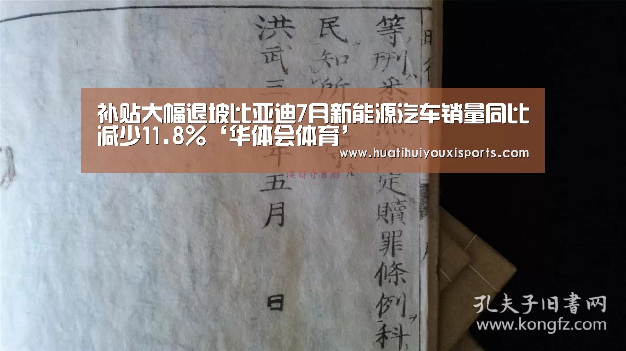 补贴大幅退坡比亚迪7月新能源汽车销量同比减少11.8%‘华体会体育’(图1) 华体会入口