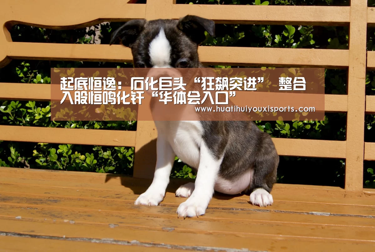 起底恒逸:石化巨头“狂飙突进” 整合入股恒鸣化纤“华体会入口”(图2) 华体会官方